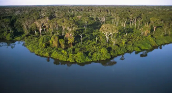 Saneago lança Programa Agroflorestal para fortalecer segurança hídrica e alimentar